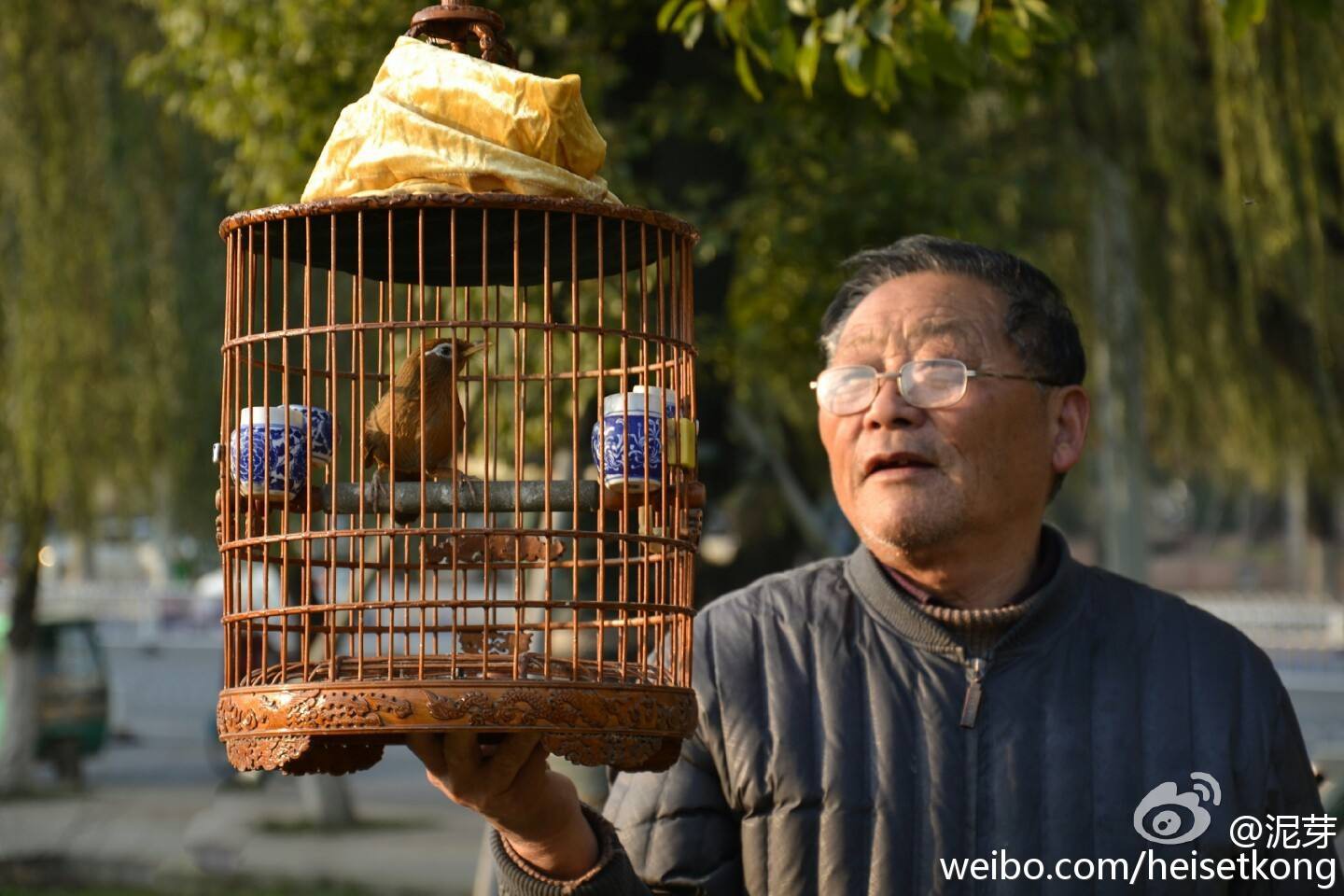 洗面奶与遛鸟，生活中的小确幸