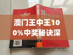 澳门王中王的神秘面纱，深度解析与查询指南