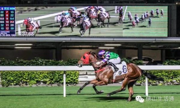 今日香港内部马料精选推荐，赛场风云再起，谁将独领风骚？