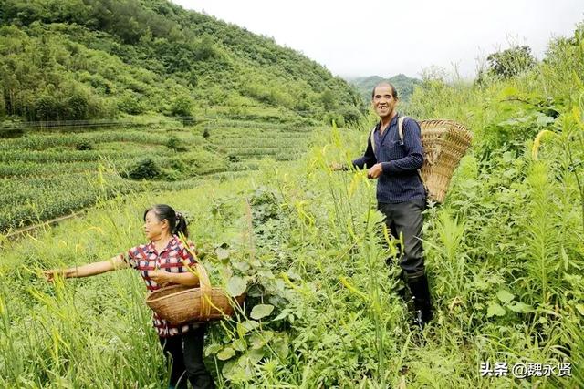 农女致富，山里汉宠妻无度的甜蜜篇章