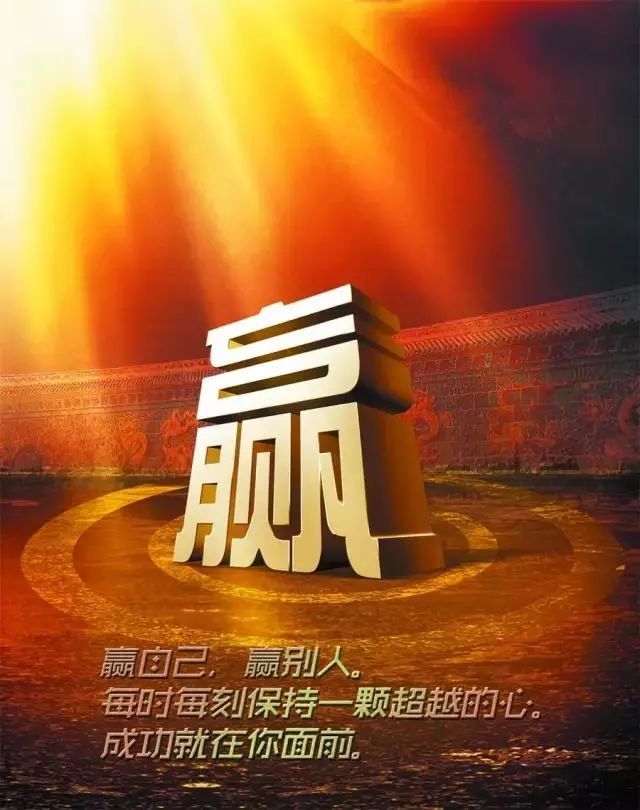 龙哥的勇气之赌——一次关于信念与挑战的重塑