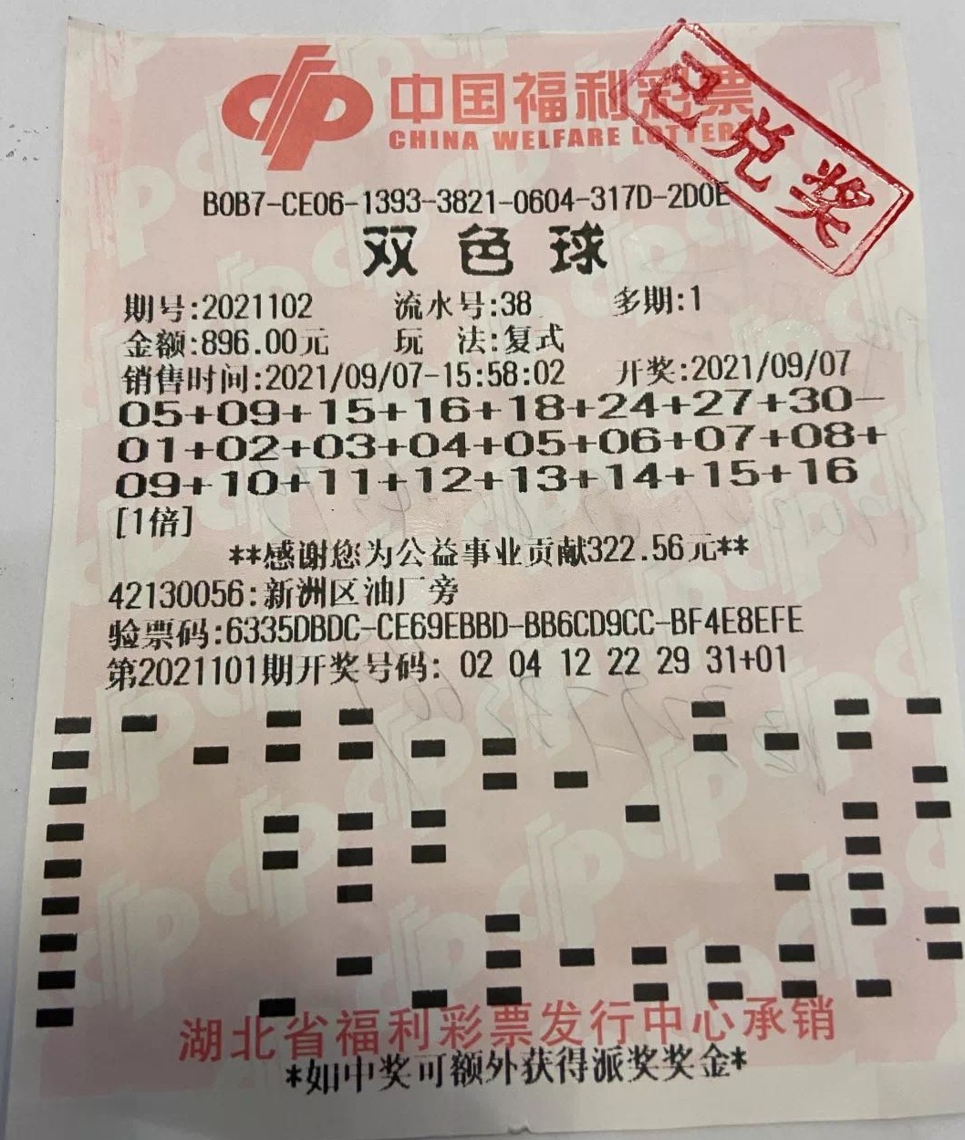 9+2复式投注，解锁彩票新玩法，探索幸运的无限可能