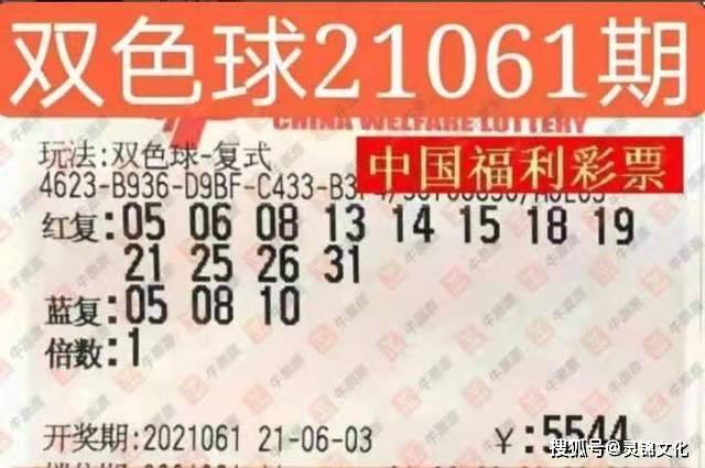探索双色球2019年354期开奖奇迹，梦想与现实的交汇