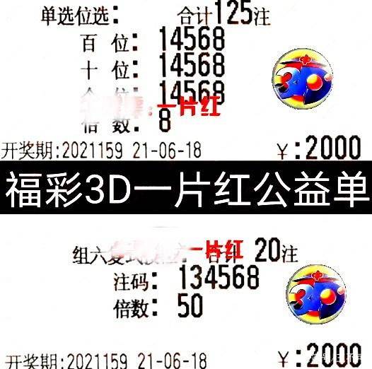 2015黑圣手福彩3D字谜今日汇总，解密数字背后的奥秘