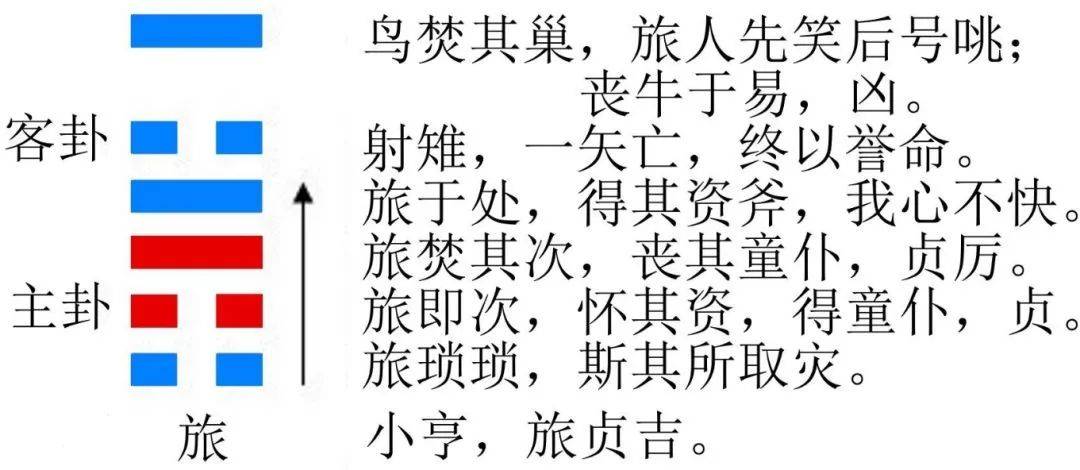 今日大乐透开奖号码汇总，揭秘幸运数字，共赴梦想之旅