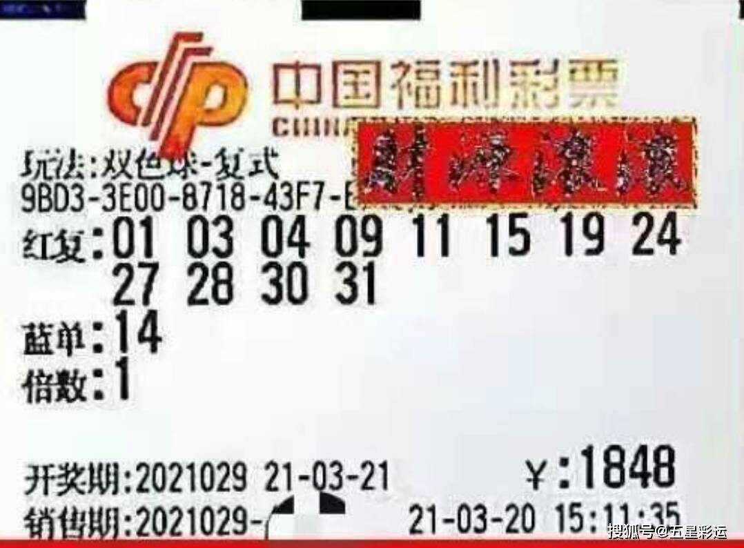 2013年双色球第45期开奖，梦想与幸运的碰撞