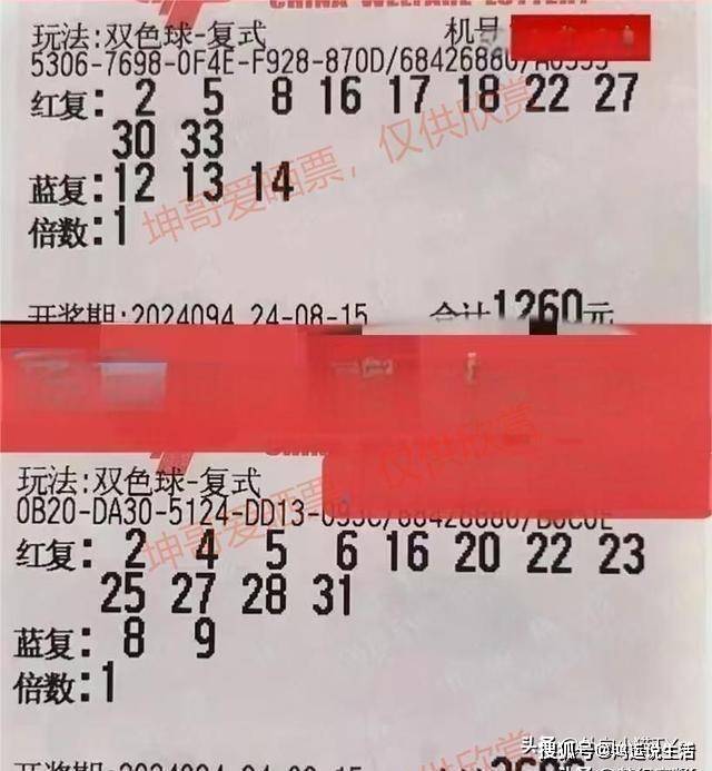 双色球124期彩票晒图——揭秘中奖背后的故事与技巧