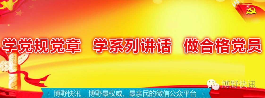 山东档案查询，便捷、高效与安全的在线服务新体验——以山东省电子政务服务平台为例的探索分析