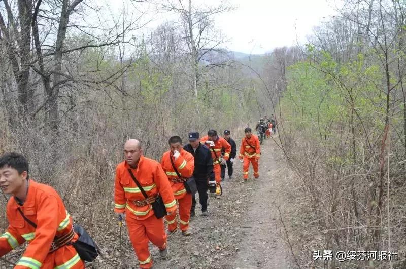 绥芬河最新招聘信息网，开启职场新篇章的窗口