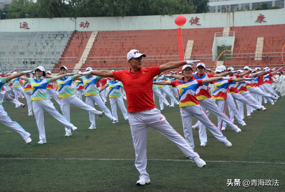 青海省项目信息网官网，打造透明高效的公共服务平台