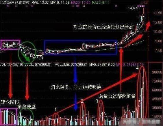 揭秘股市玄机，从筹码峰看出货与洗盘