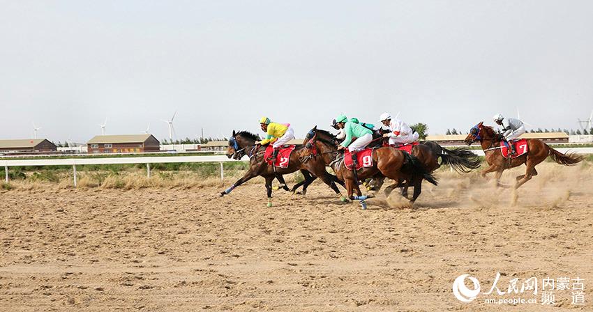 2019年香港马会最快开奖结果，速度与激情的完美结合香港马 会开奖结果新闻