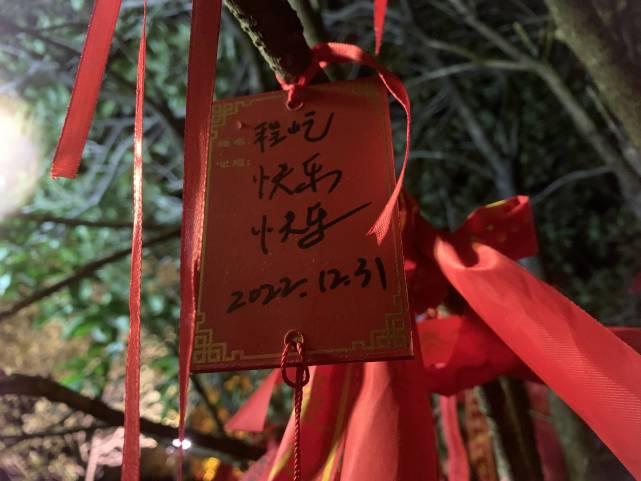 探索黄大仙，综合资料大全的神秘之旅黄大仙综合资料大全精准大仙2023匠子生活