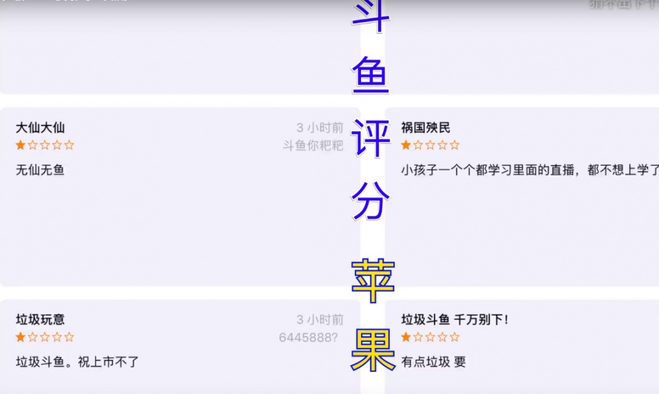 3769，跑狗论坛开奖正版直播的真相与魅力高清跑狗论坛6654