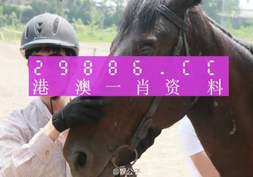 澳门数字预测