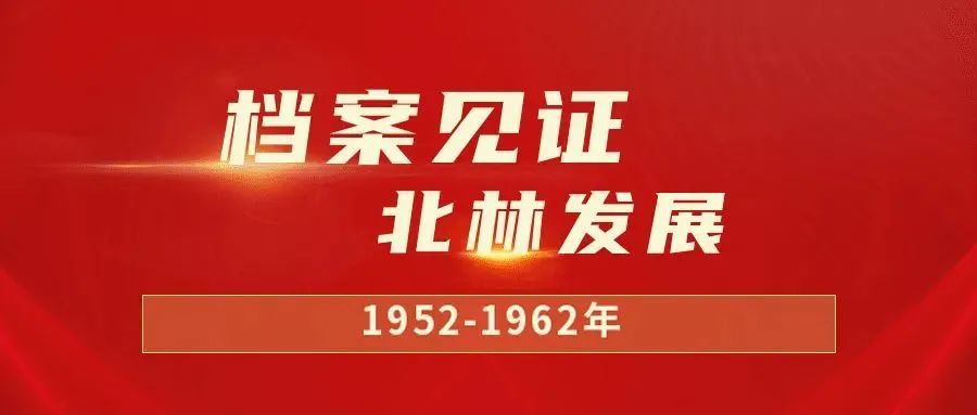 免费下载204年新澳资料大全，正版资料的珍贵与便捷澳门新彩