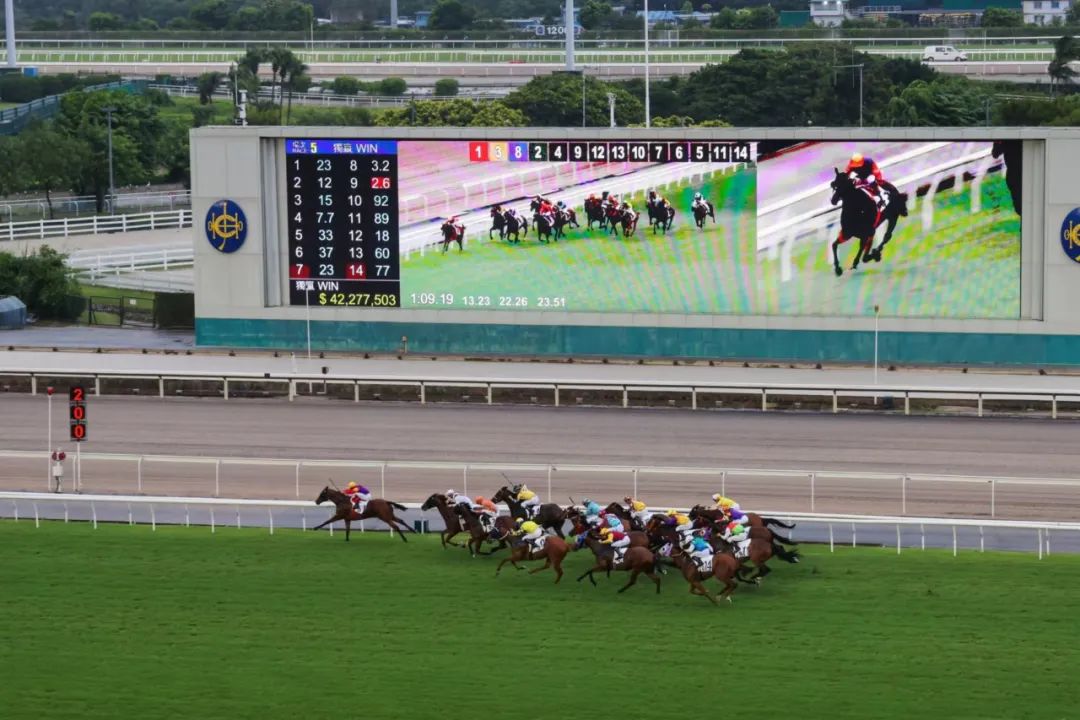 探索香港马会，全年资料大全的深度解析香港2021年马会资料大全