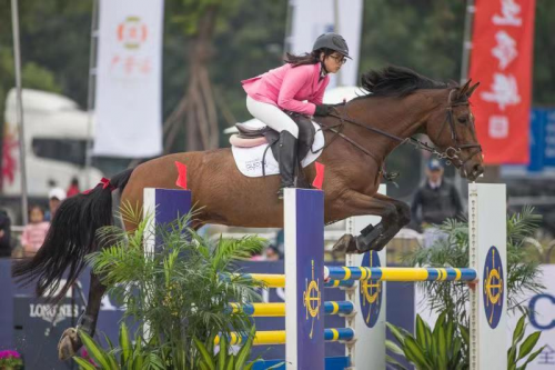 2019年香港马内部免费资料，揭秘赛马的背后与真相香港马资料大全2019