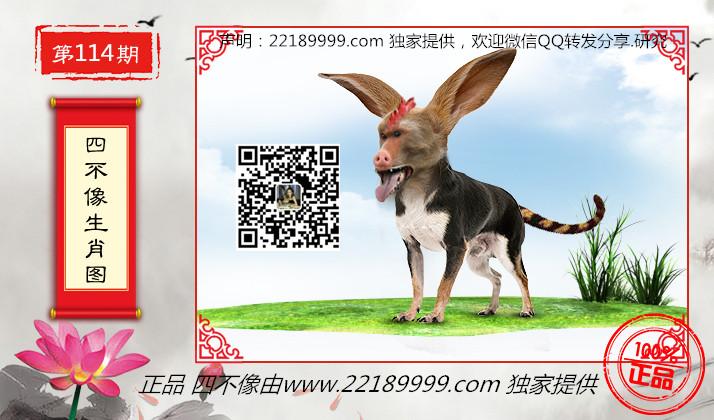 探索2018年四不像特马生肖图，传统与现代交织的奇妙世界四不像特肖图片今期今开奖