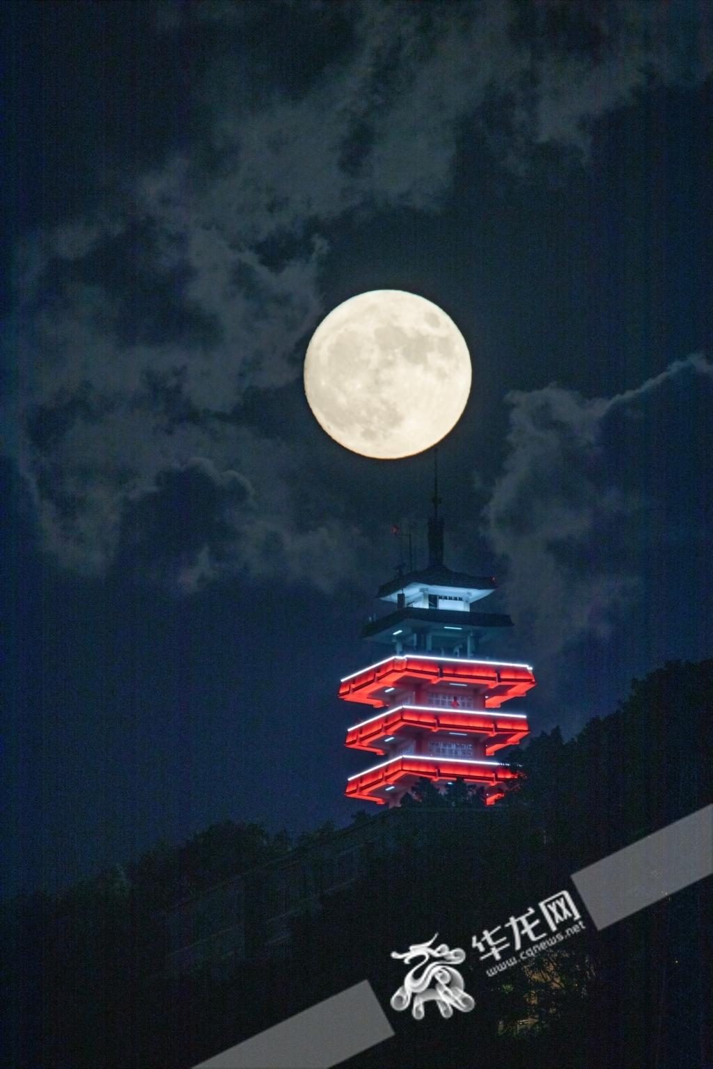 蓝月亮精选料免费大全，解锁家居清洁新境界蓝月亮精选料免费大全-首页选料免费大全-首页