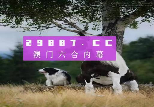 澳门跑狗3769,揭秘背后的真相与警示