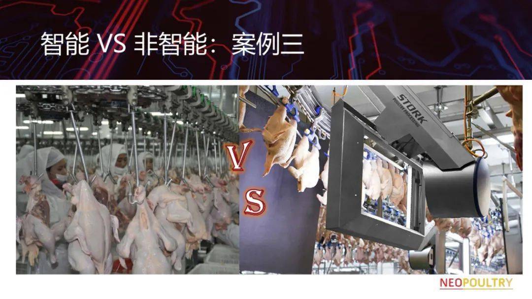 新澳门出彩即时开奖直播，透视最新动态与未来展望新澳门出彩即时开奖直播最新消息视频