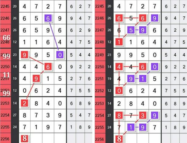 澳门新彩，探寻上期开奖号码的神秘面纱新澳门上期开奖号码查询表图片及价格