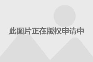 2025年5月27日 第15页