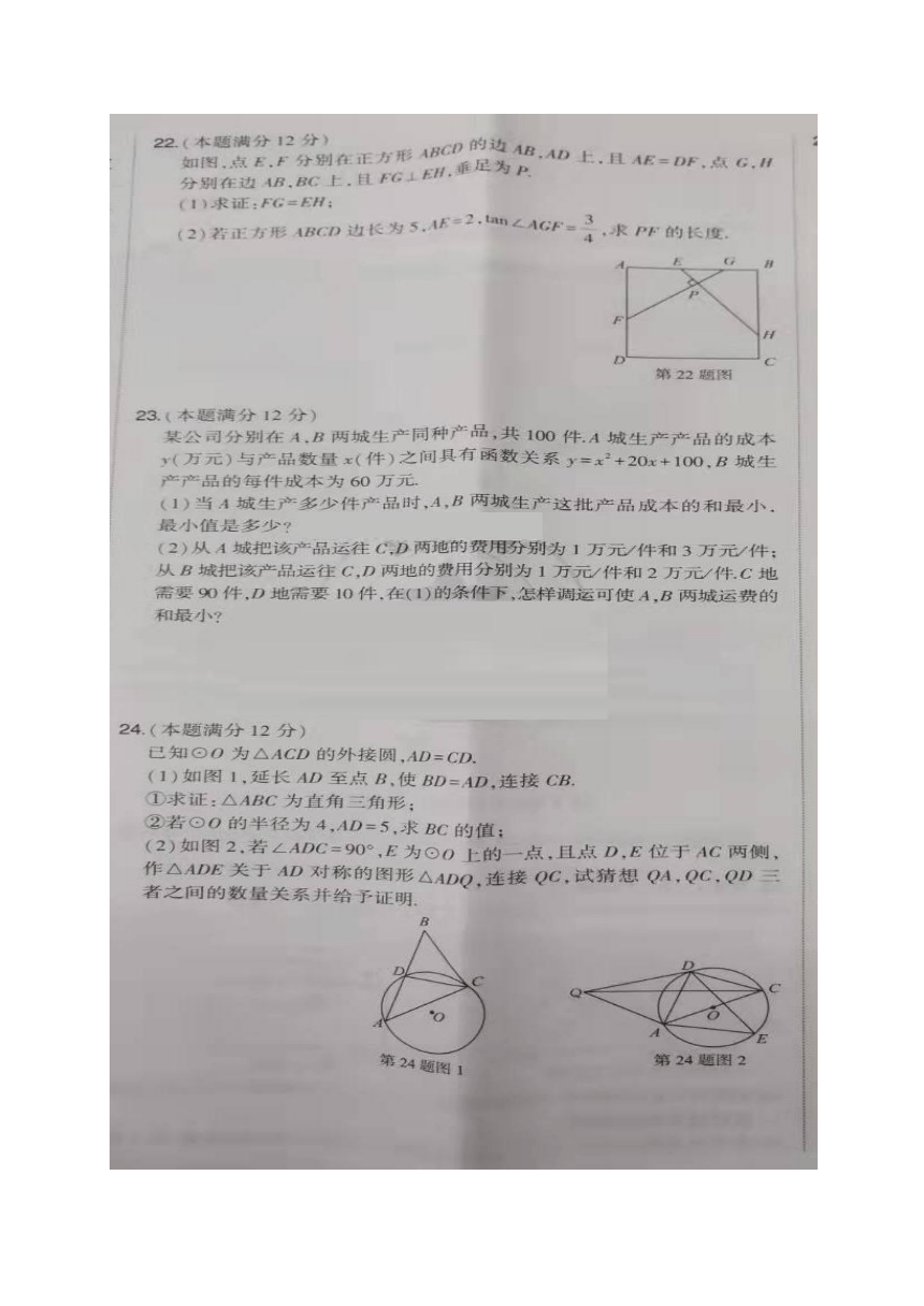 澳门新开奖记录，最新查询结果表格图解析澳门最新版本开奖网址