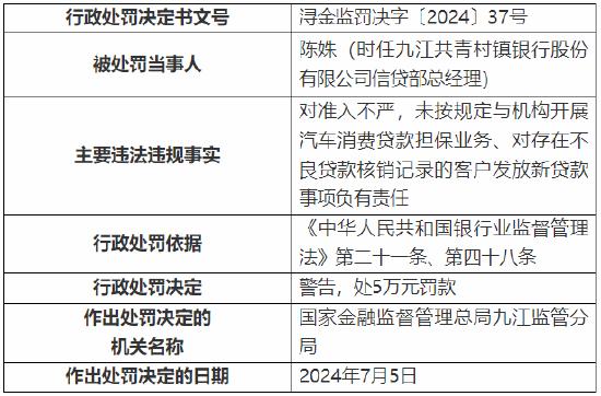 澳门2035,新未来,摇号记录表最新版揭秘新澳门2025摇号记录表最新版图片