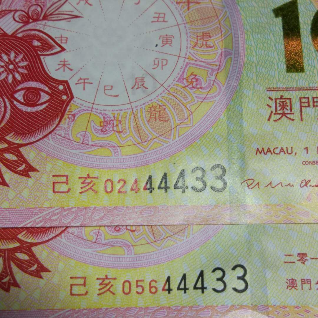 2046新澳门，探索原料免费生肖卡的奇幻之旅2021澳门生肖版