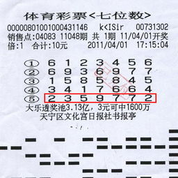 澳门2045，未来彩票的透明与责任之旅澳门202|开奖结果