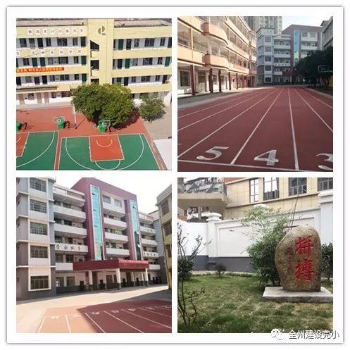 澳门新貌，204年8月最新发展动态与展望新澳门最新的消息2024年8月最新消息视频