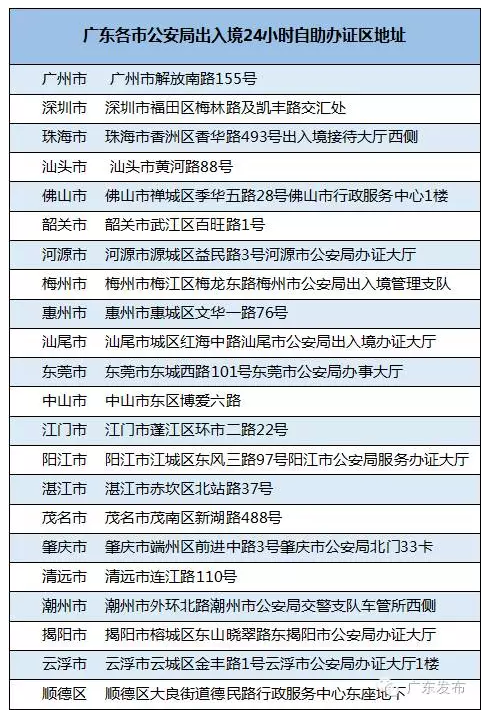 探秘新澳门204年摇号记录表查询，全攻略与实用指南新澳门2024摇号记录表查询结果怎么查