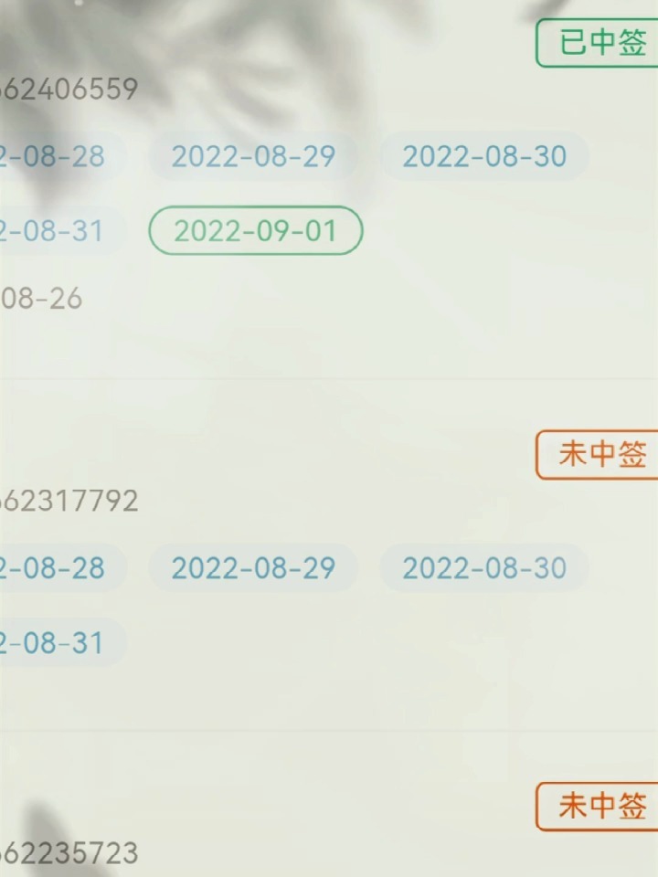 澳门摇号记录查询，便捷、透明与安全的官方途径新澳门摇号记录查询官网下载安装