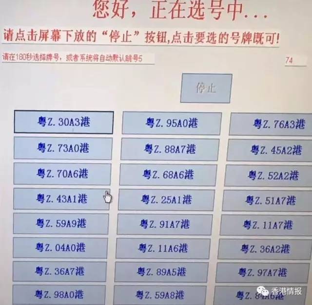 探索新澳门摇号记录查询，便捷、安全与透明的信息获取之道澳门新车牌
