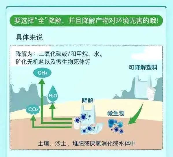 澳门新线路检测路线中心，一站式核酸检测指南新澳门线路检测xam