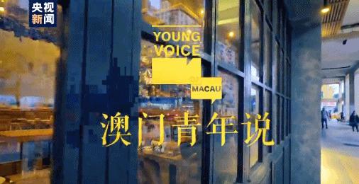 探索新澳门的多元魅力，揭秘最新、最准确的资料新澳门网