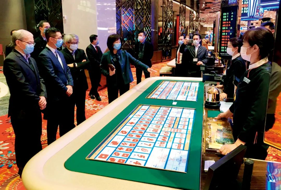 探索新澳门网站203年最新版官方，一站式娱乐与服务的革新之旅澳门新问