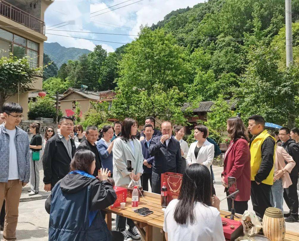 2035年新澳门开奖直播现场，科技与传统的完美融合2025年新澳门开奖直播现场今晚开什么