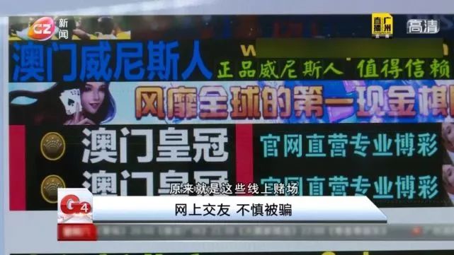 新澳门网投