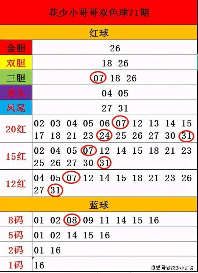 澳门今晚开奖号码，揭秘与解析新澳门开奖结果