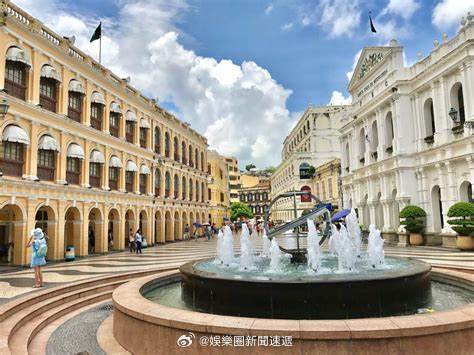 新澳门今晚上开什么动物，揭秘背后的文化与娱乐价值—一场数字游戏的深度解析澳门今晚开的