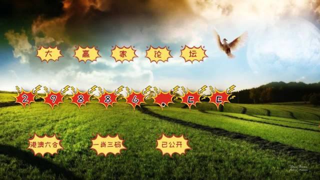 澳门今晚开奖号码查询结果，揭秘最新中彩视频播放新澳门开奖记录